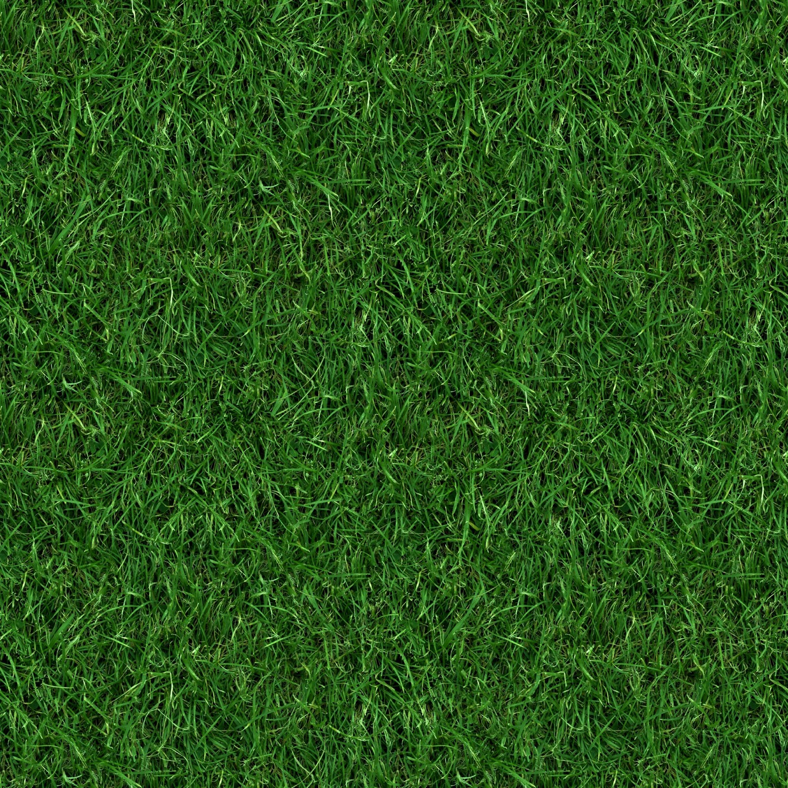 HIGH RESOLUTION TEXTURES: (GRASS 4) seamless turf lawn green ground field texture