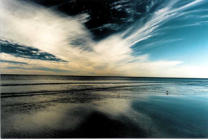 This Site Has Been Archived: Meanwhile, On The Horizon...