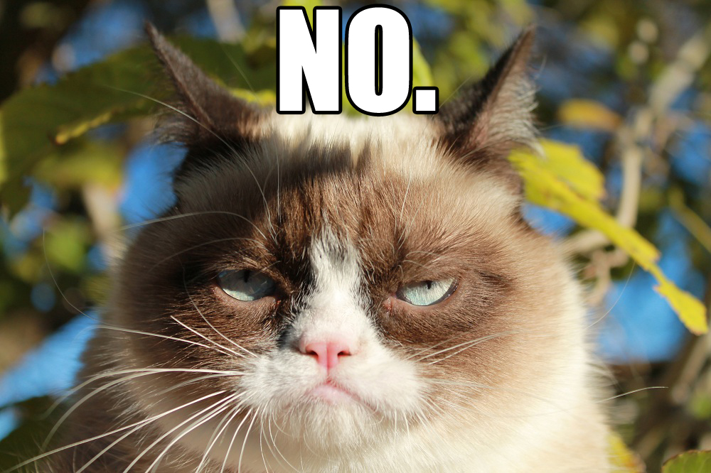 Grumpy Cat Saying No | Funny Collection World