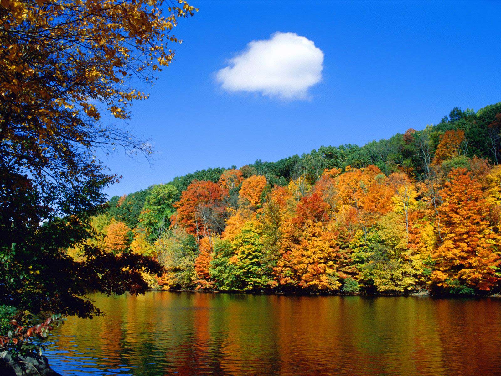 Nature Graphics ~ A Huge Collection of Images