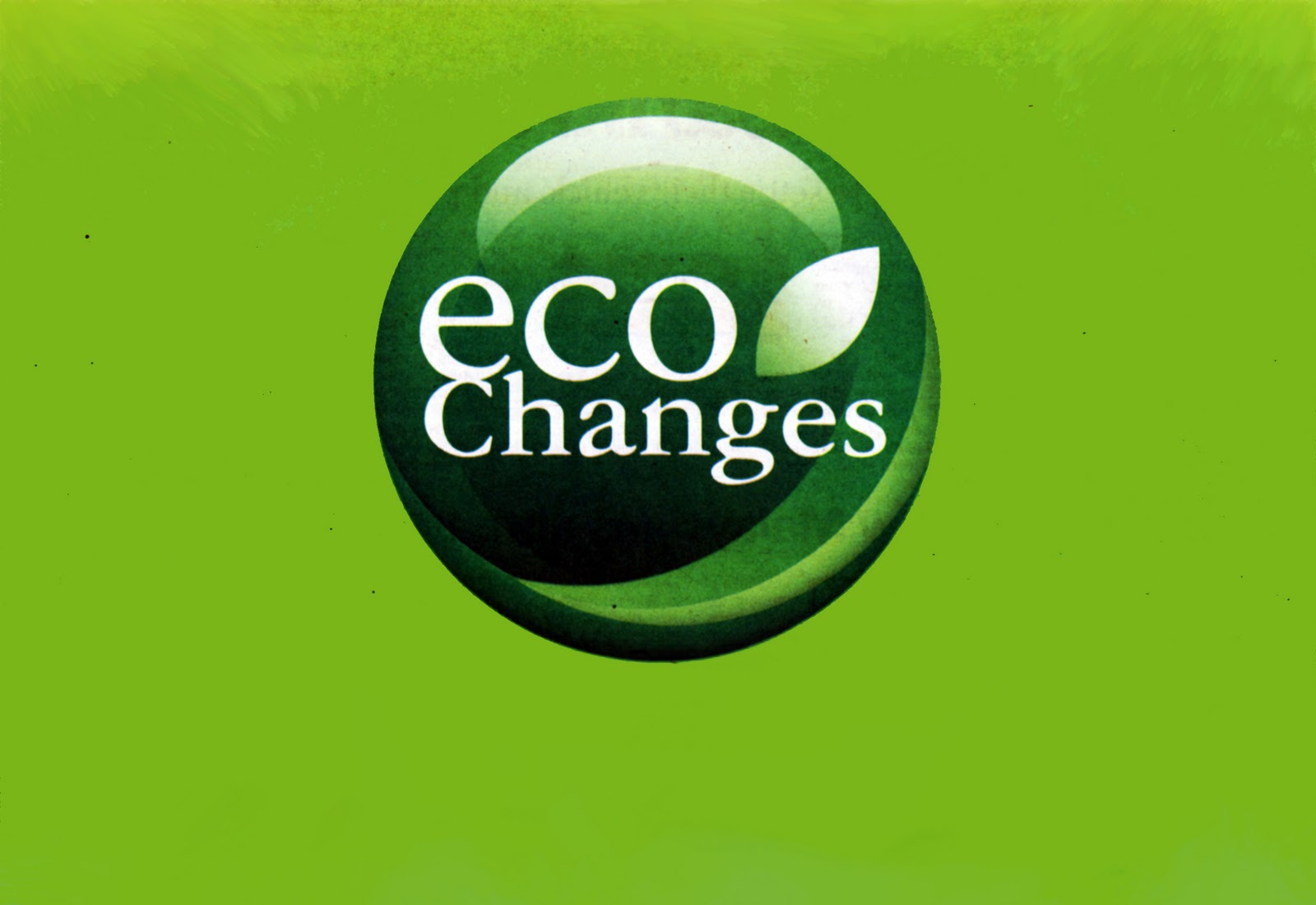 Future Living: Eco Changes For 2011