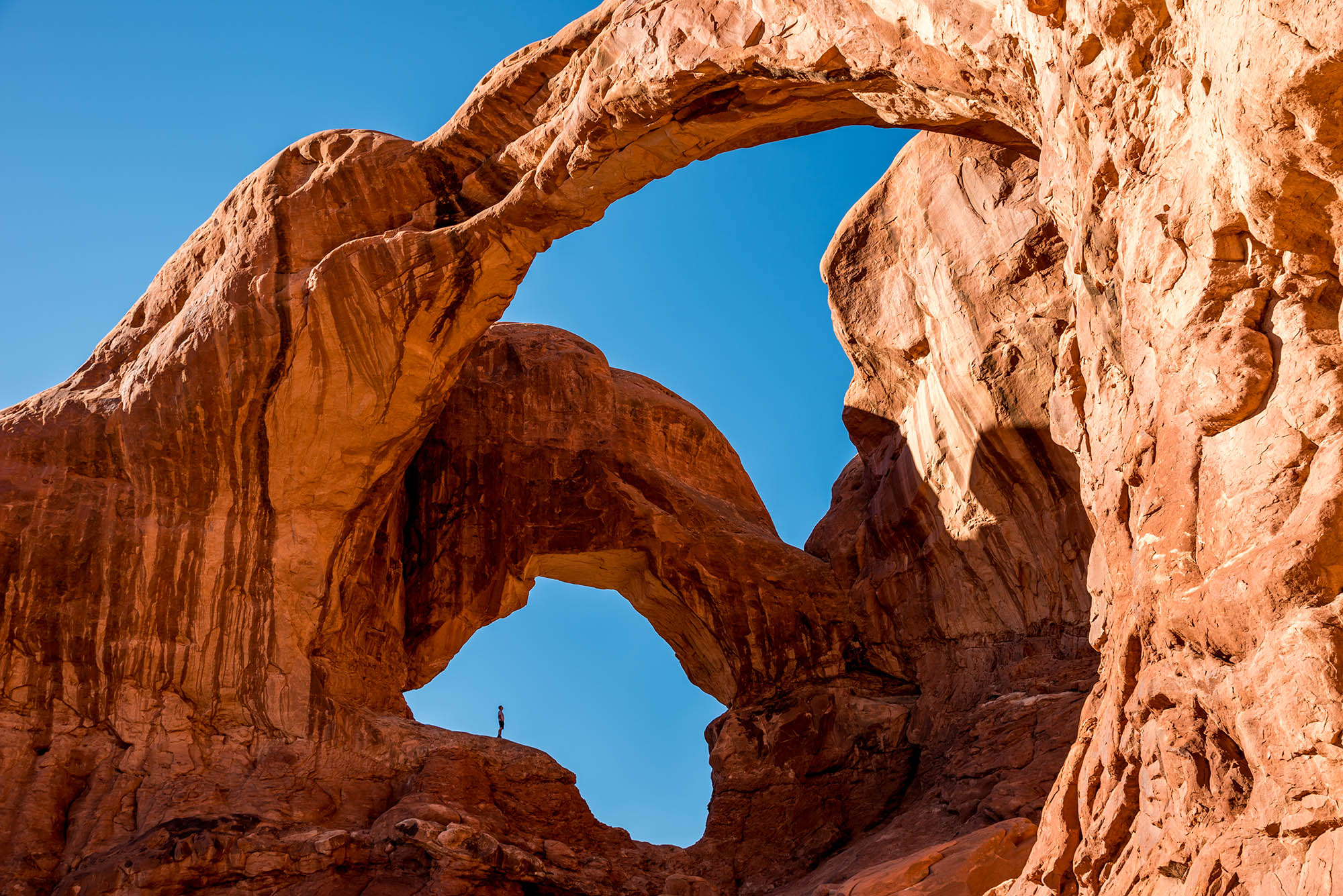 Best things to do at Arches National Park, Utah - 1 Life on Earth