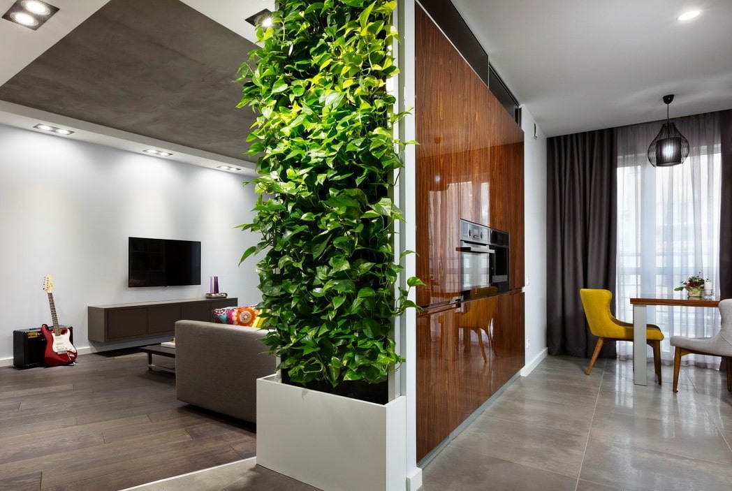 Simple divider design for kitchen and living room - jokeravid