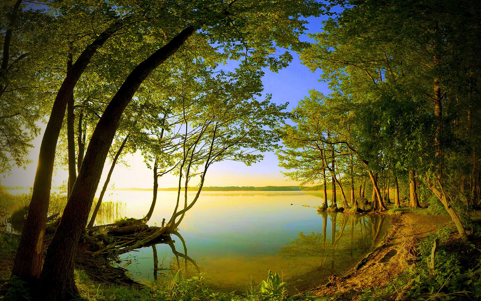 mphoto-cover: natural views hd