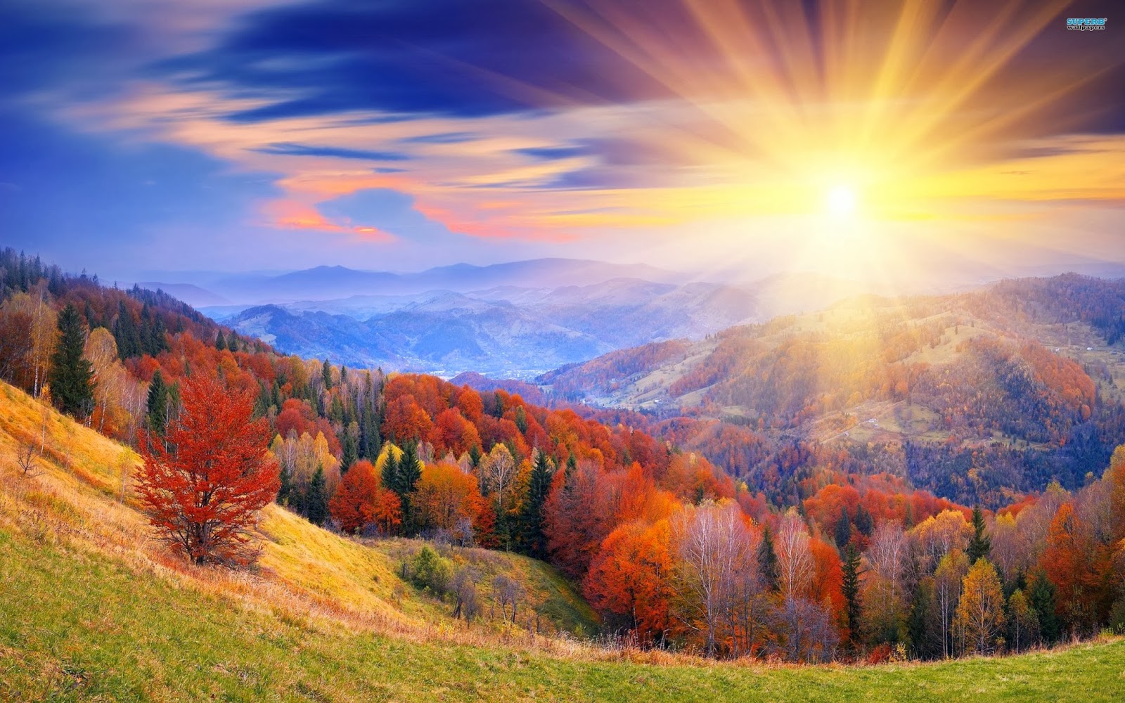 Beautiful Wallpapers Sunrise | Wallpapers Collection