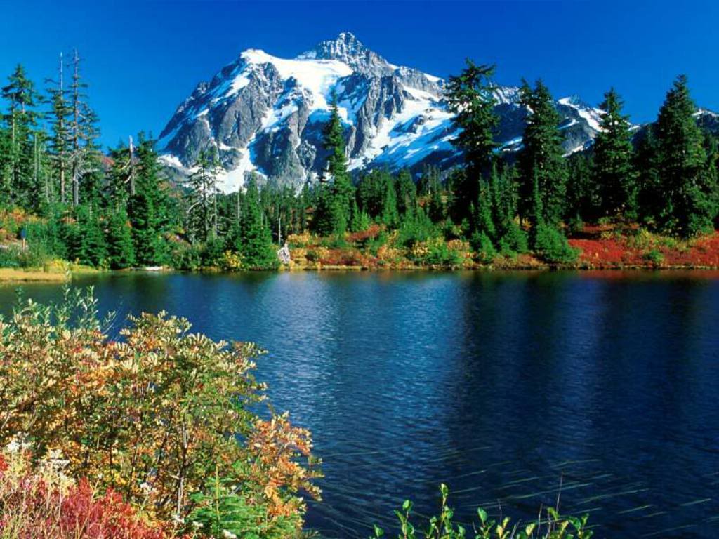 Incredible Pictures: Nature