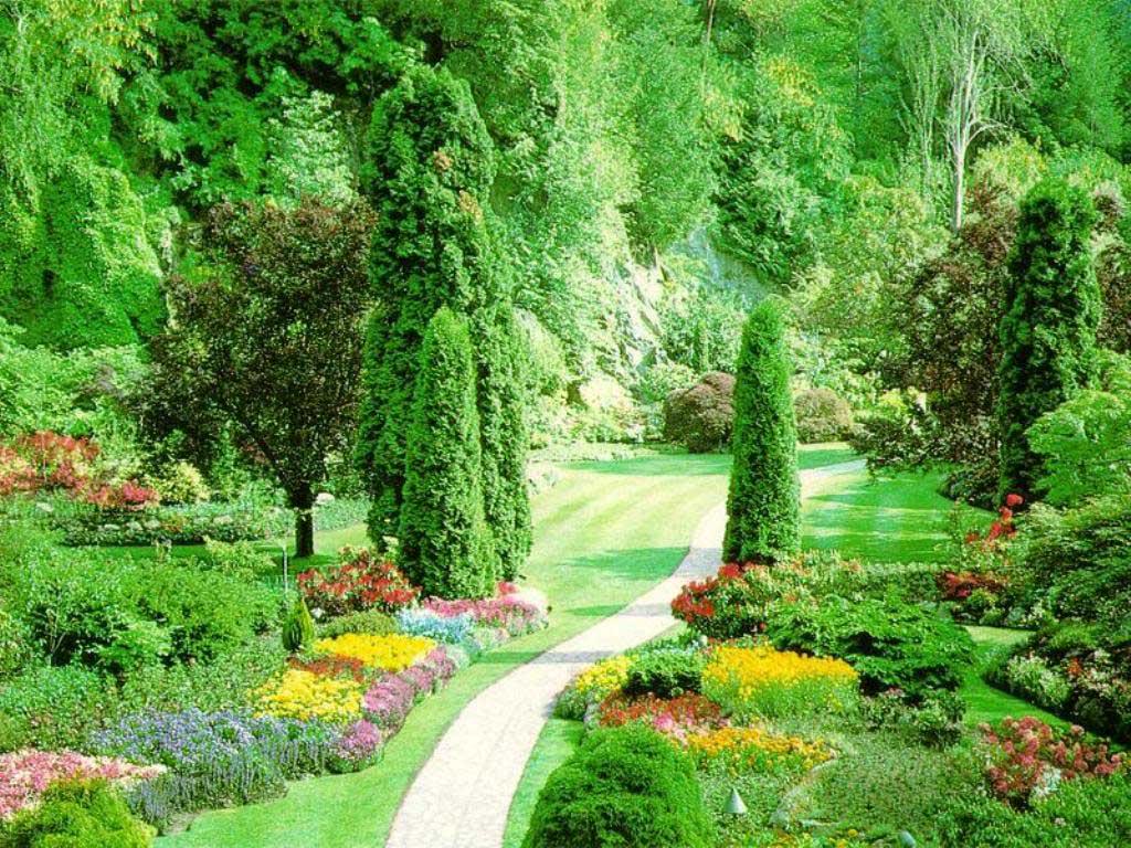 Incredible Pictures: Nature