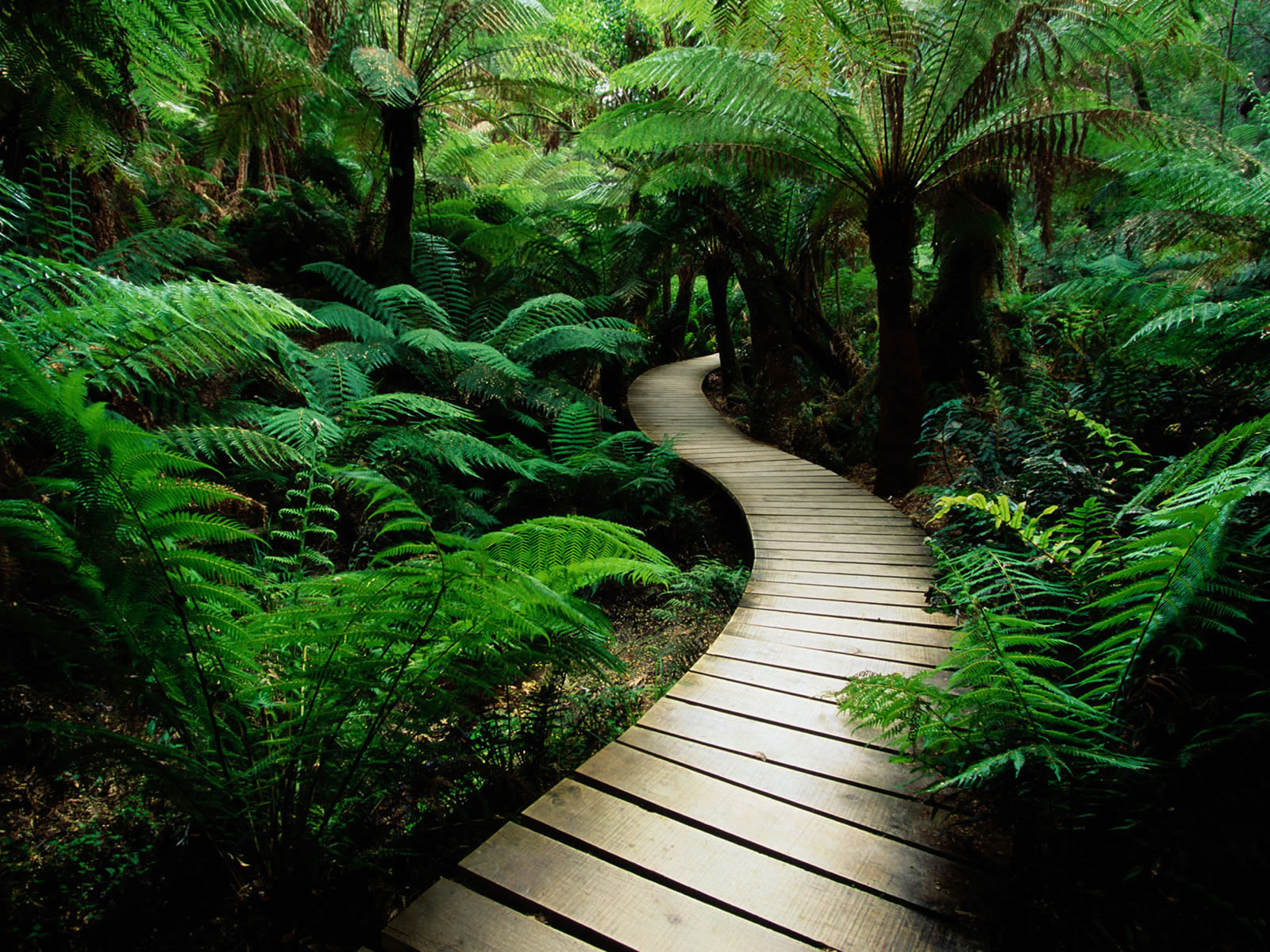 Incredible Pictures: Nature