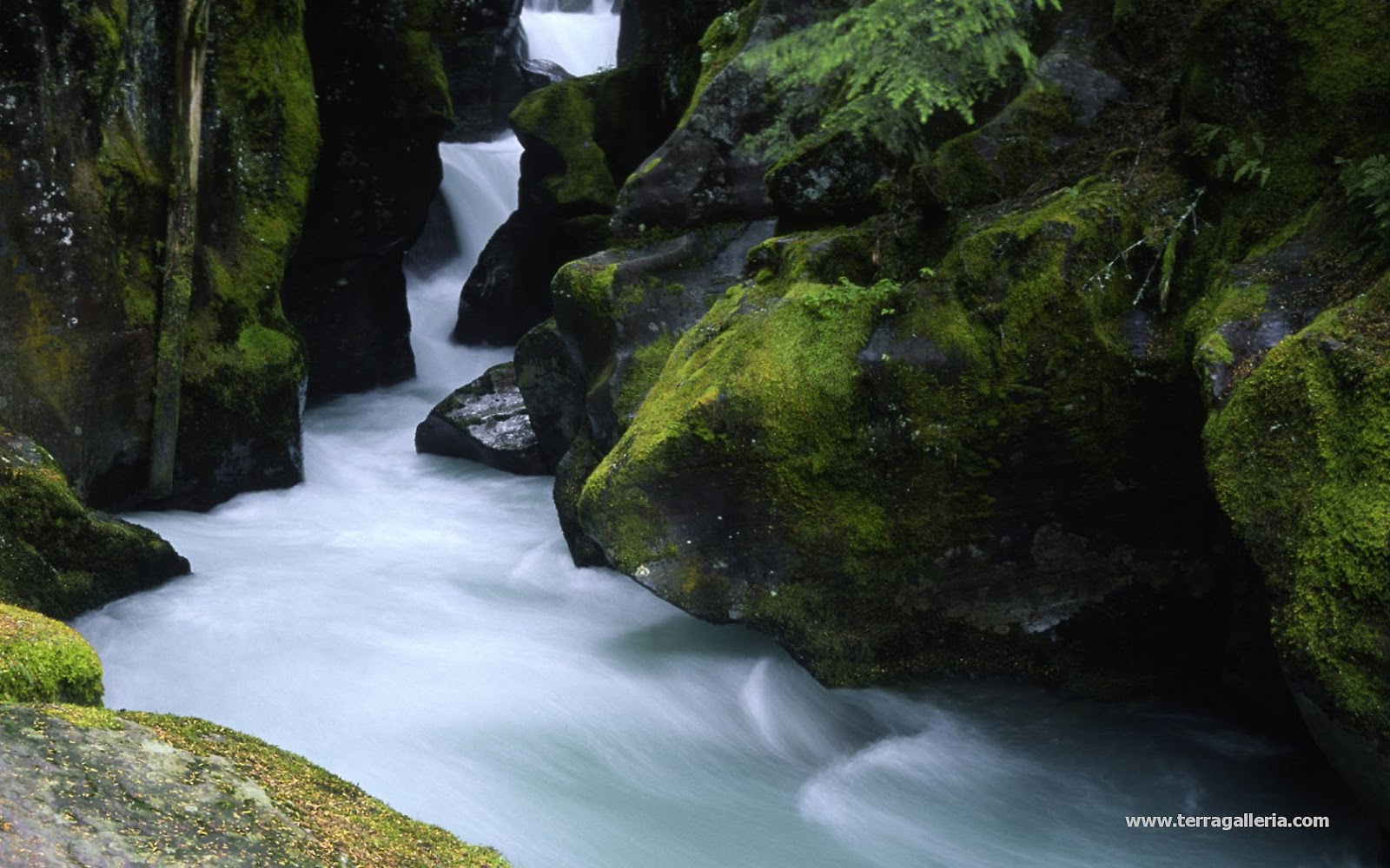 mphoto-cover: Natural views
