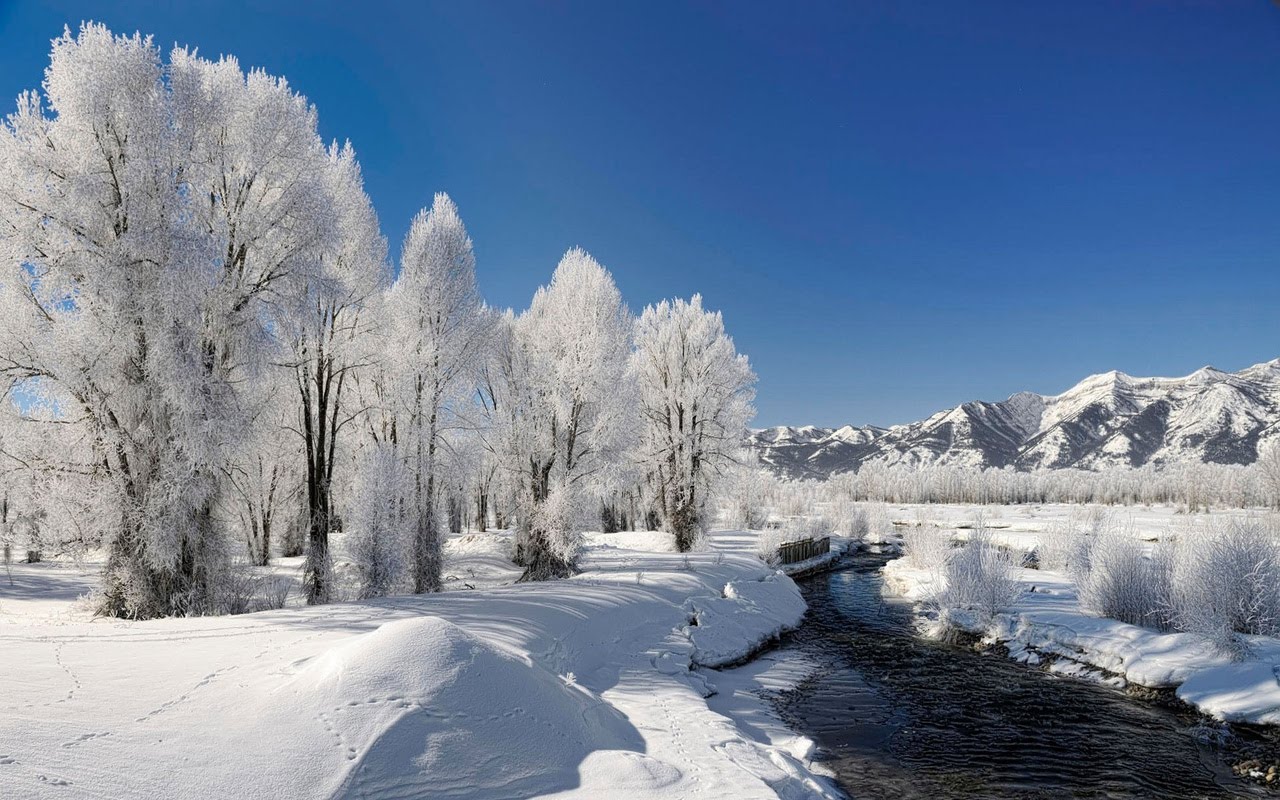 Life Around Us: Winter Season