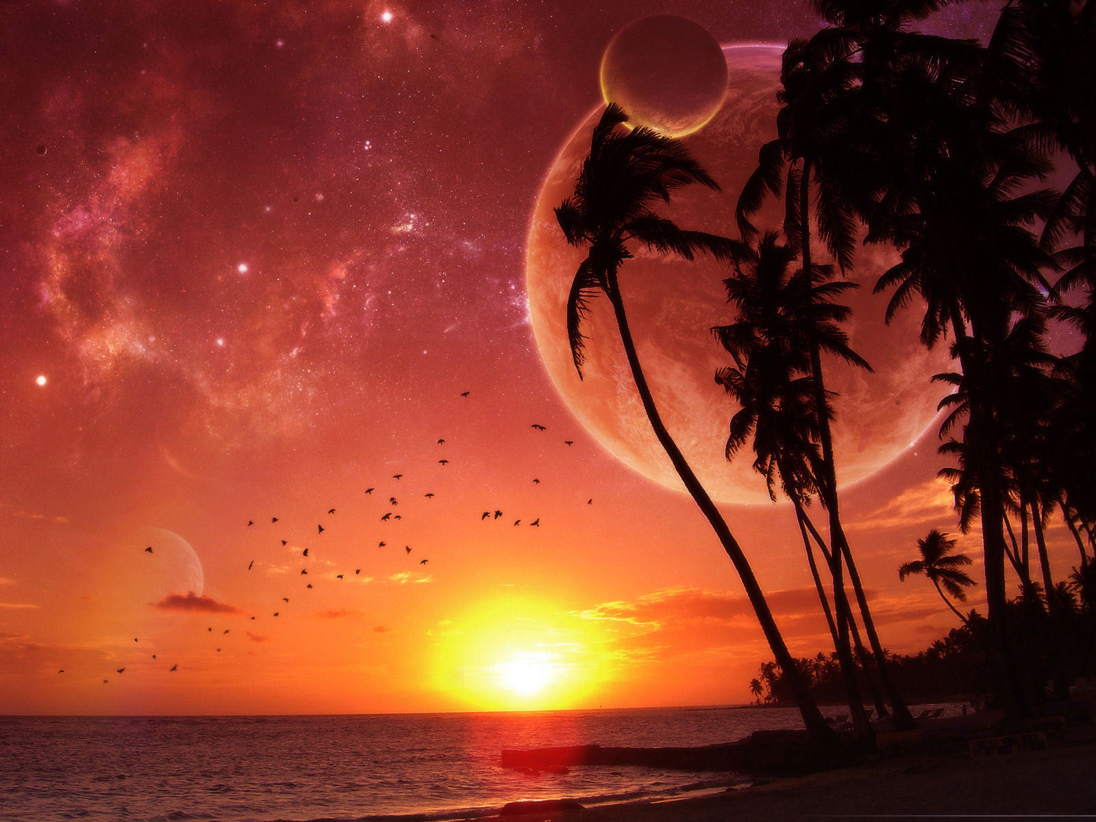 mphoto-cover: Natural views