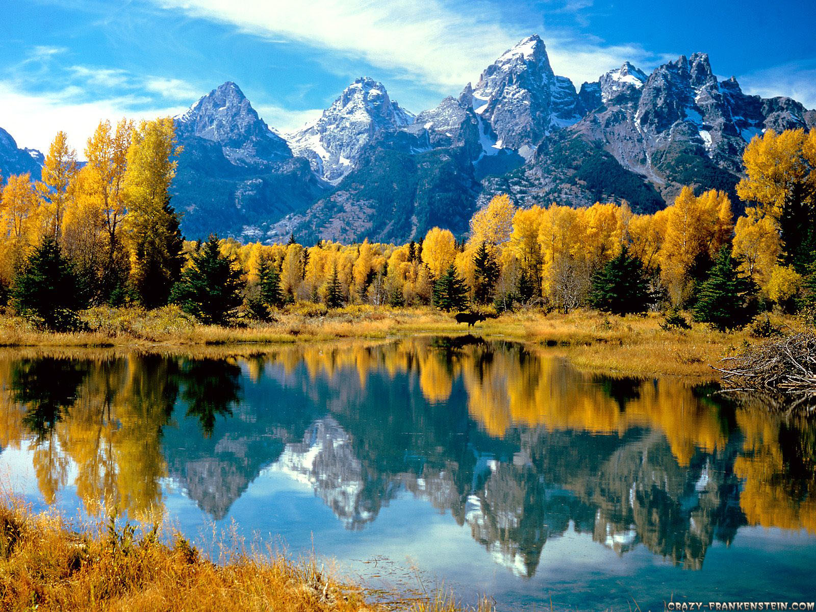 clip art and picture: amazing nature pictures