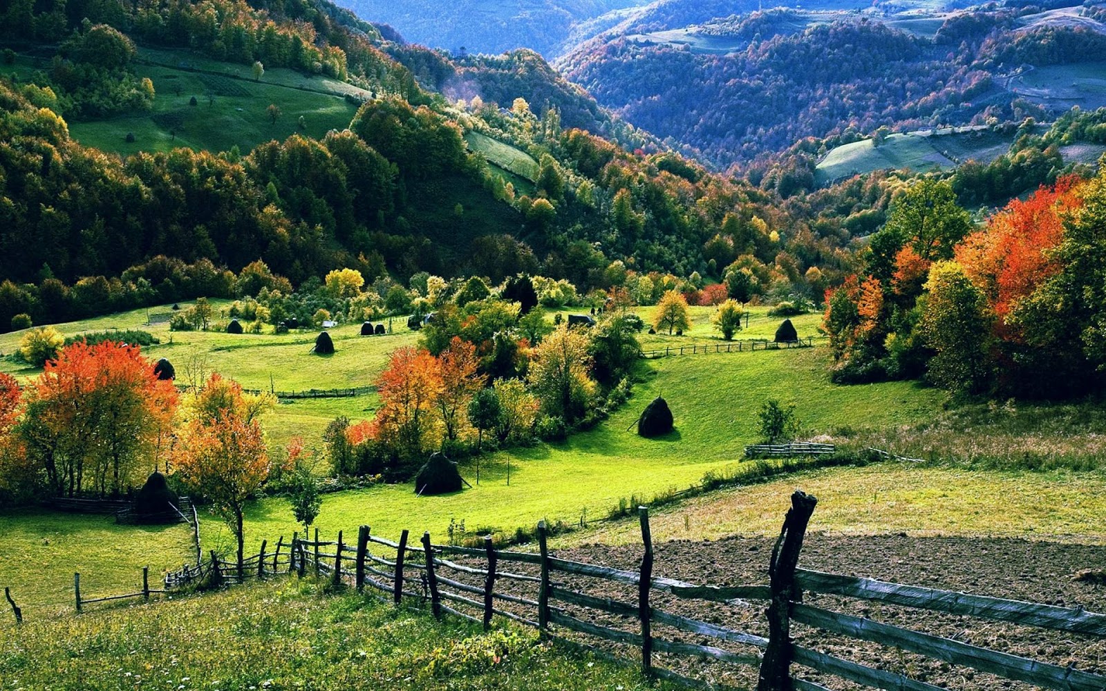 mphoto-cover: natural views wallpapers