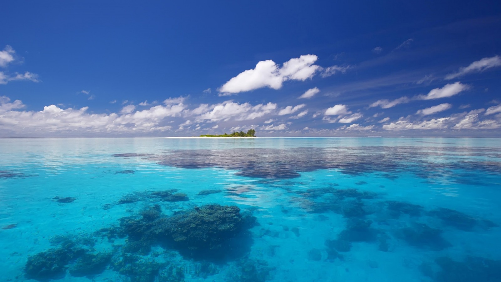 Genesis Nature Blog: Oceans