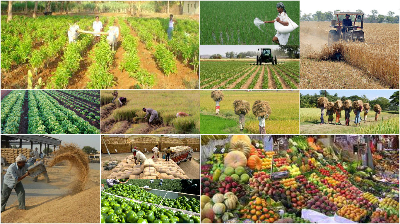 Karnataka: 14 Lakh Farmers Are Selling Their Products Online And Thus No Middle Men