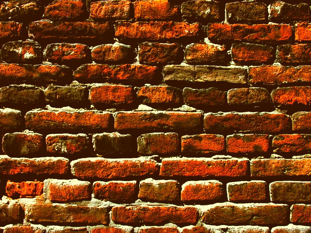 The Sinners Almanac: Longhair and the Wall