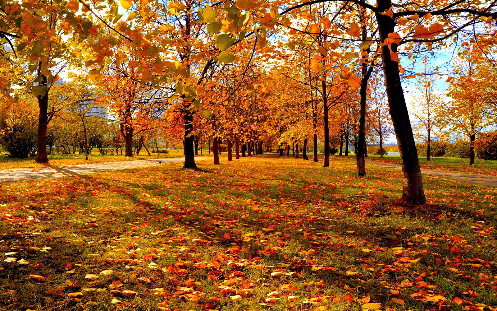 Health and Fitness Tips for Autumn