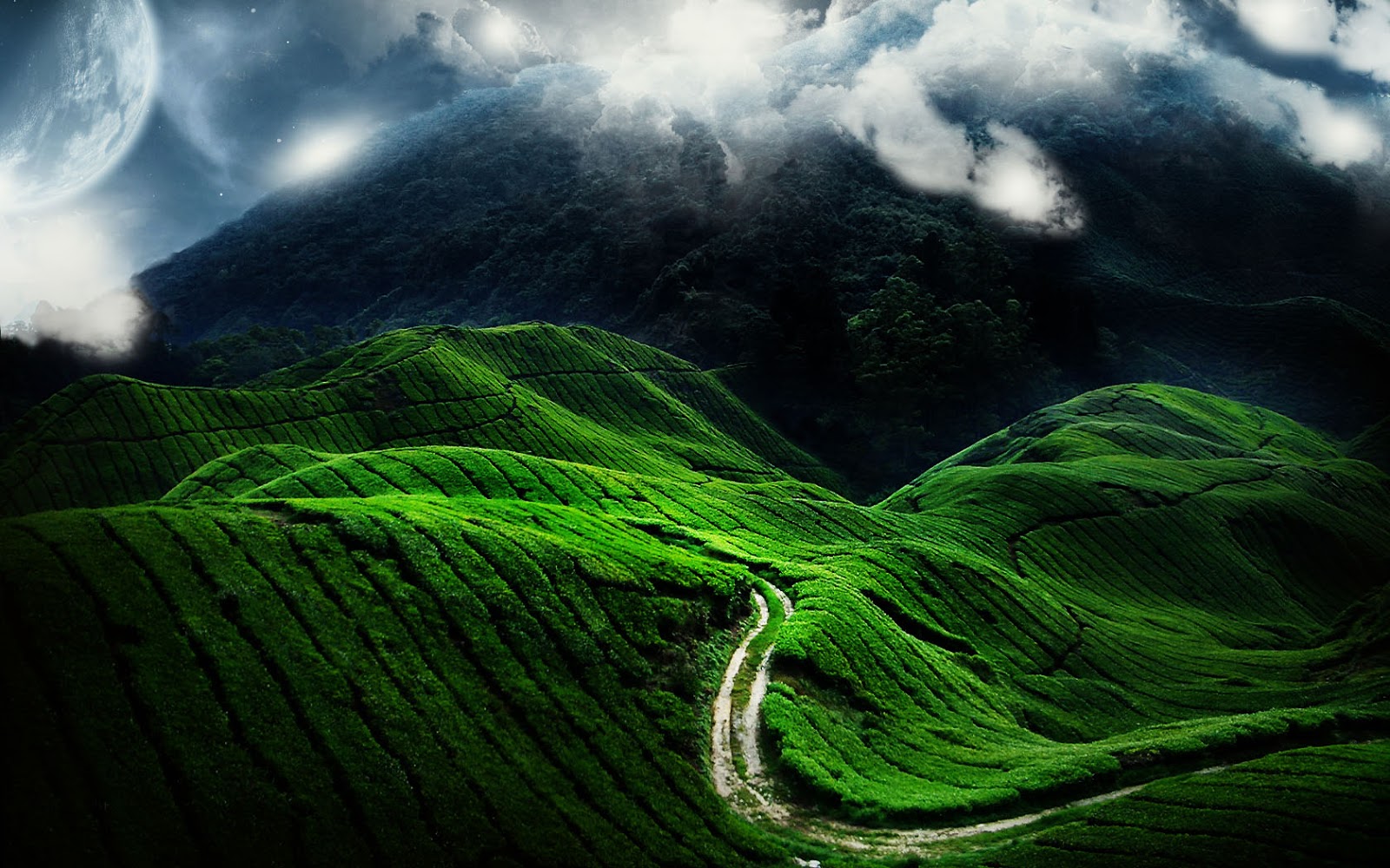 mphoto-cover: natural views hd