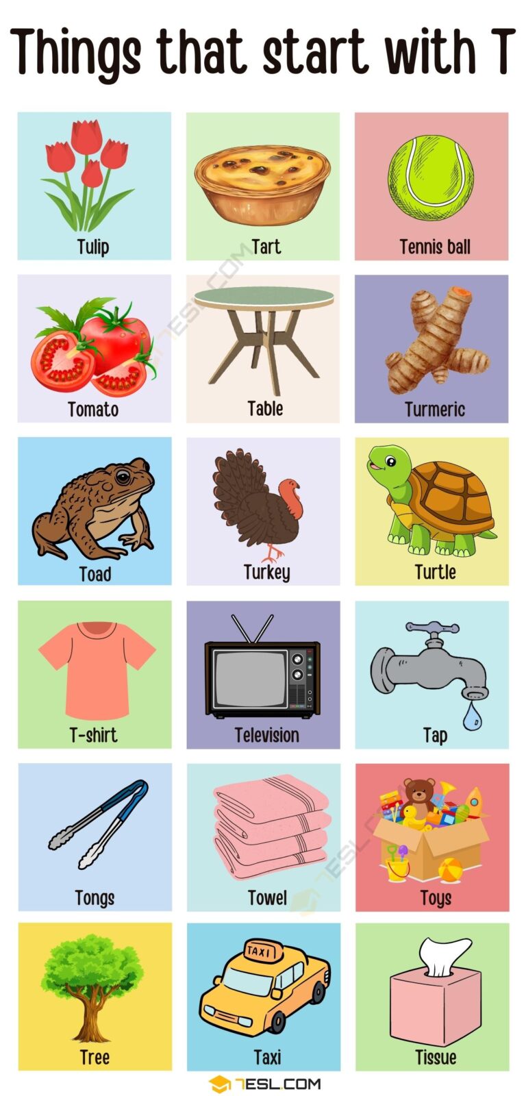 Things That Start With T In English • 7ESL