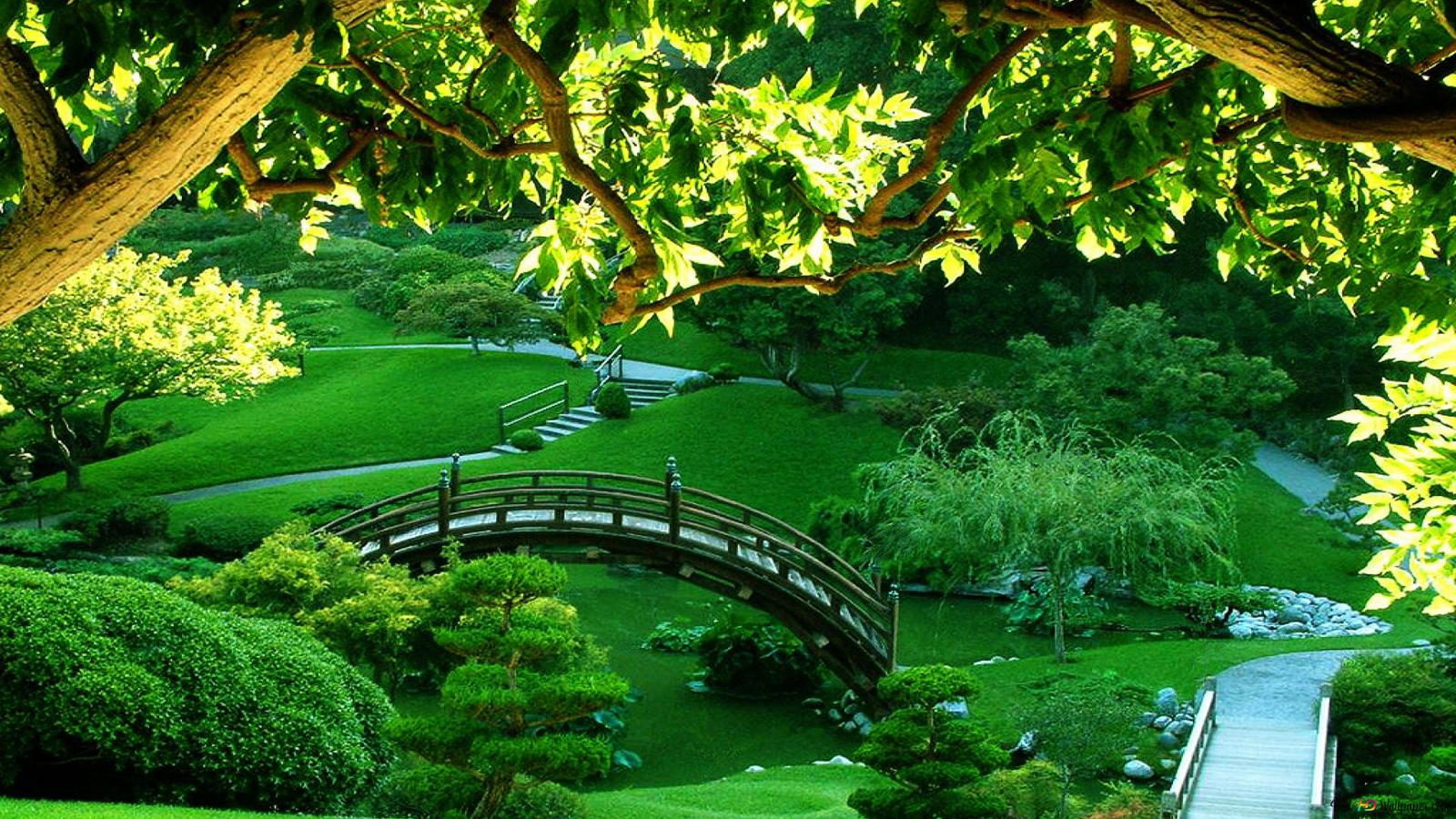 Man made green landscape HD wallpaper download