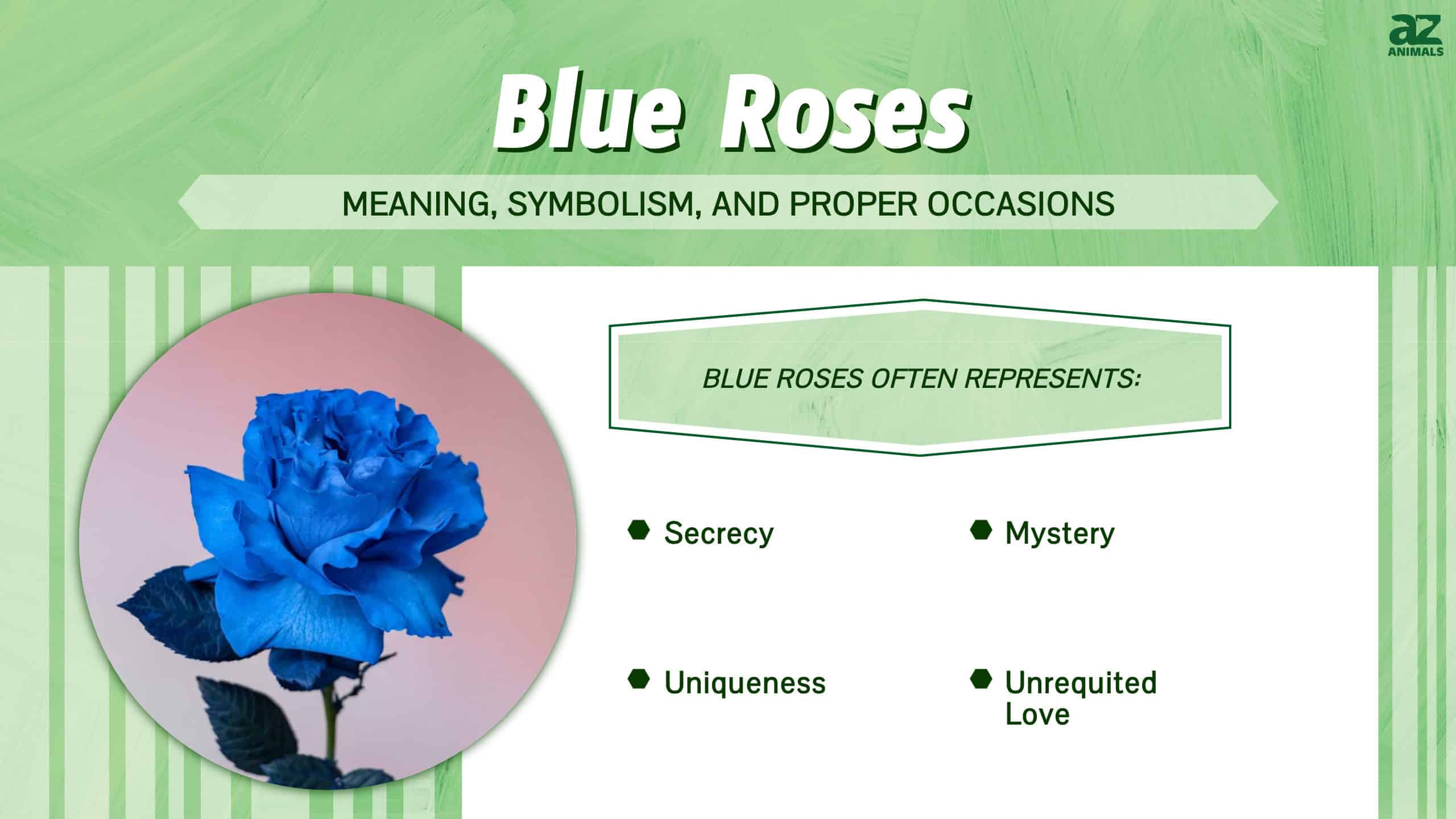 Blue Roses: Meaning, Symbolism, and Proper Occasions - A-Z Animals