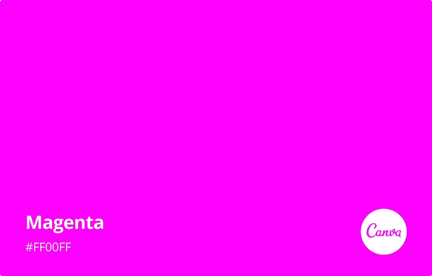Everything About The Color Magenta