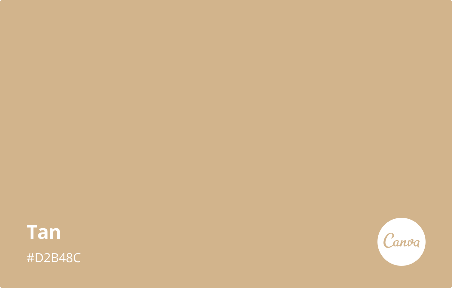Everything About The Color Tan
