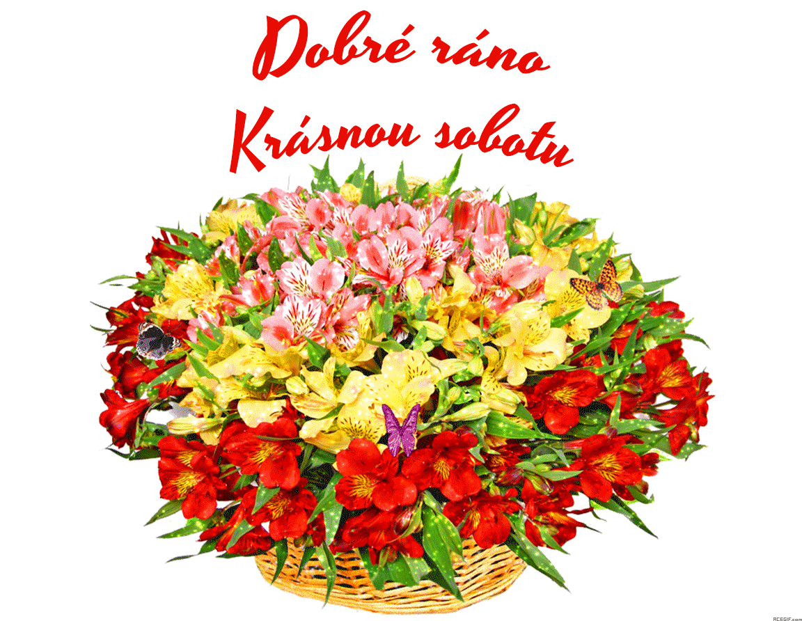 Dobré Ráno A Hezkou Sobotu GIFy