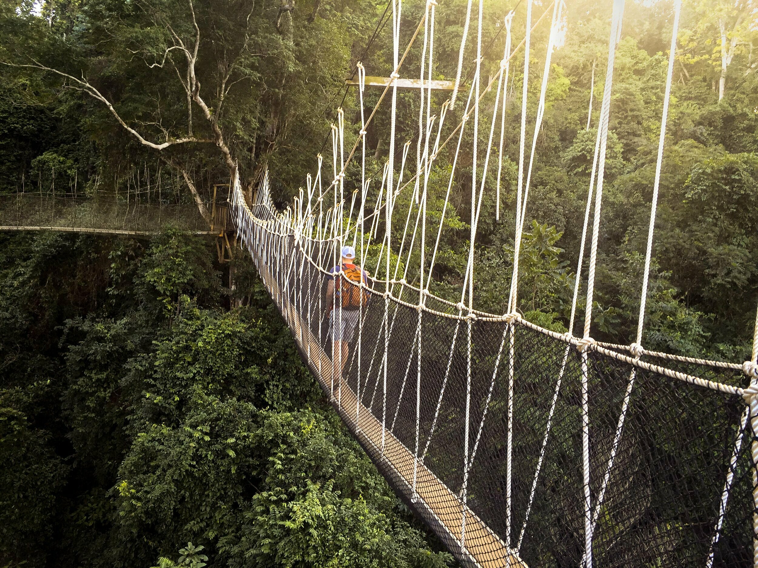 Kakum National Park - Aerocone Travels Canada Inc