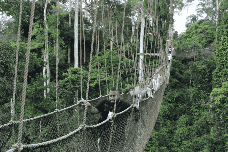 Kakum Canopy Walk - Akwaaba App