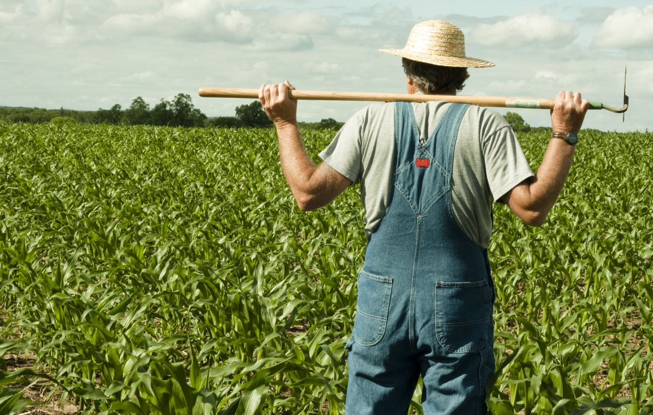 Mike Rogers: Helping East Alabama’s Farmers