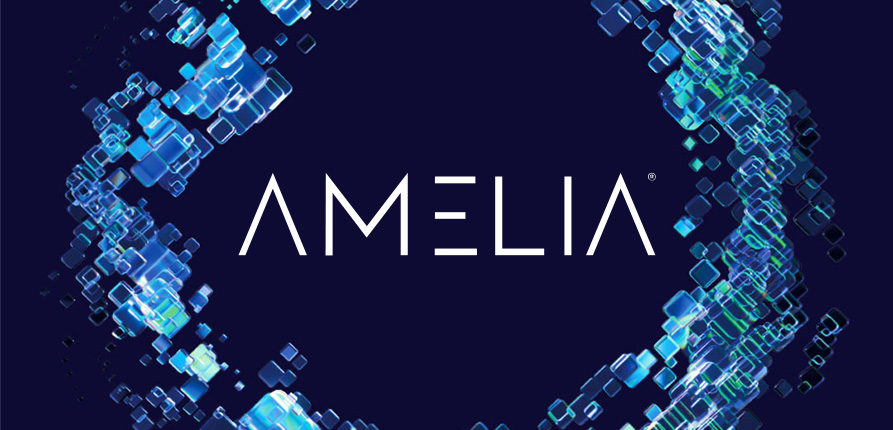 About Us | Amelia