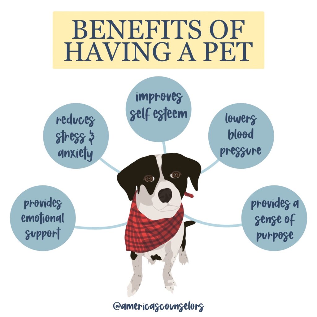 What Are The Benefits Of Owning A Dog
