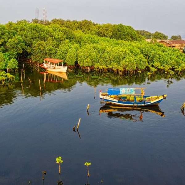 Seni Tari: Pengertian, Unsur-Unsur, Fungsi, Dan Jenis – Blog UI An Nur Lampung