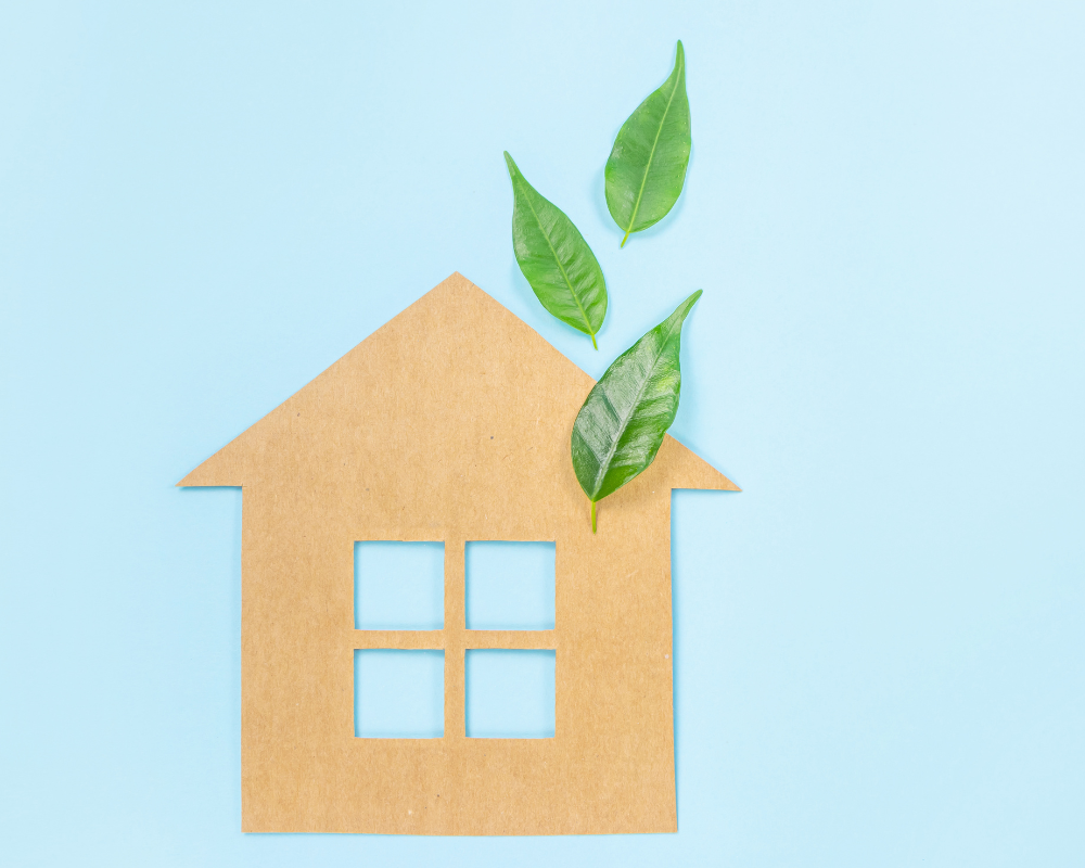 The Eco Changes We&#39;ve Made- Anything Goes Lifestyle