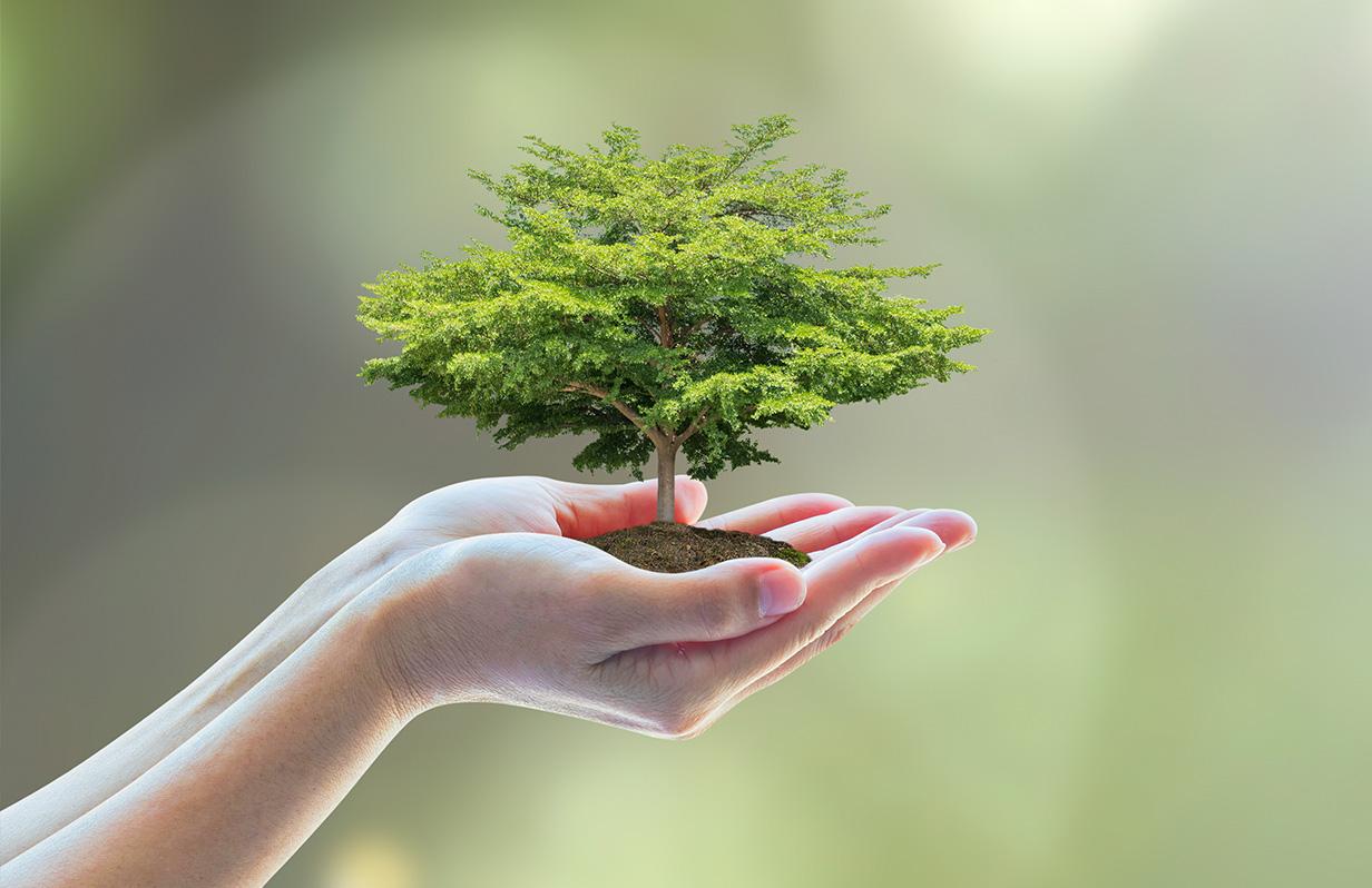 Understanding Eco Terminology - Pet&#39;s Delight Blog