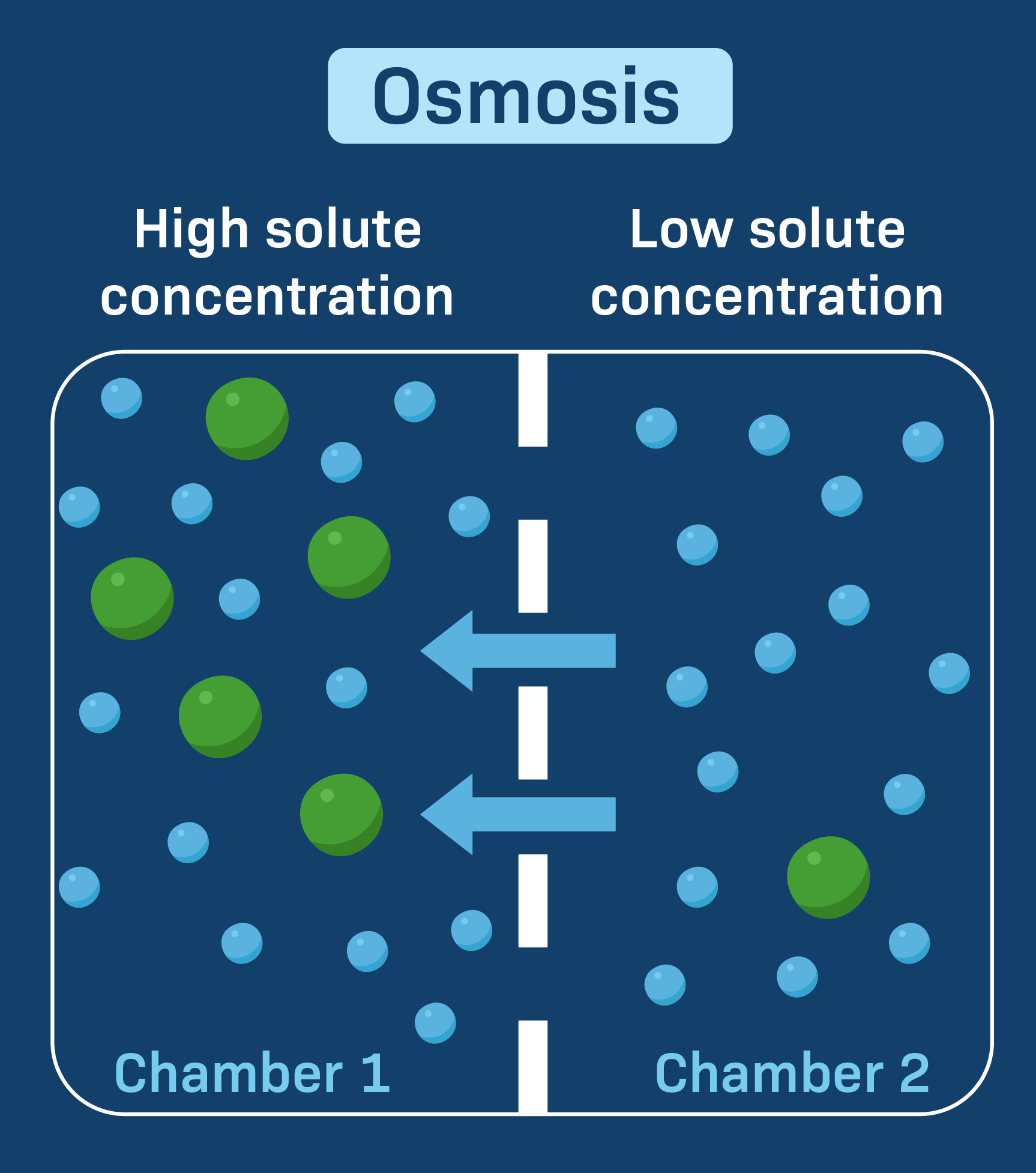 Introduction To Diffusion And Osmosis: Diffusion LabXchange, 45% OFF