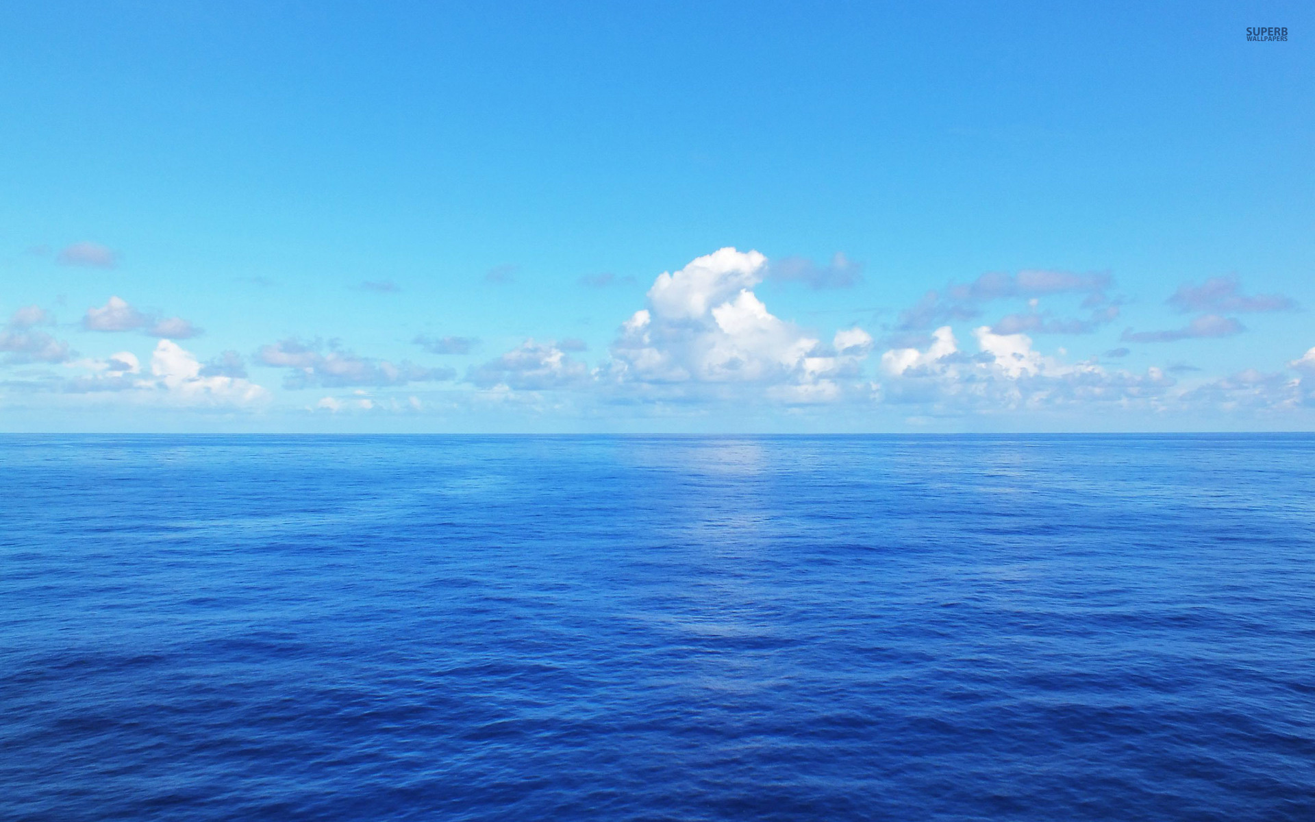 How to Celebrate World Oceans Day and Raise Ocean Conservation Awareness | Aquarium Works