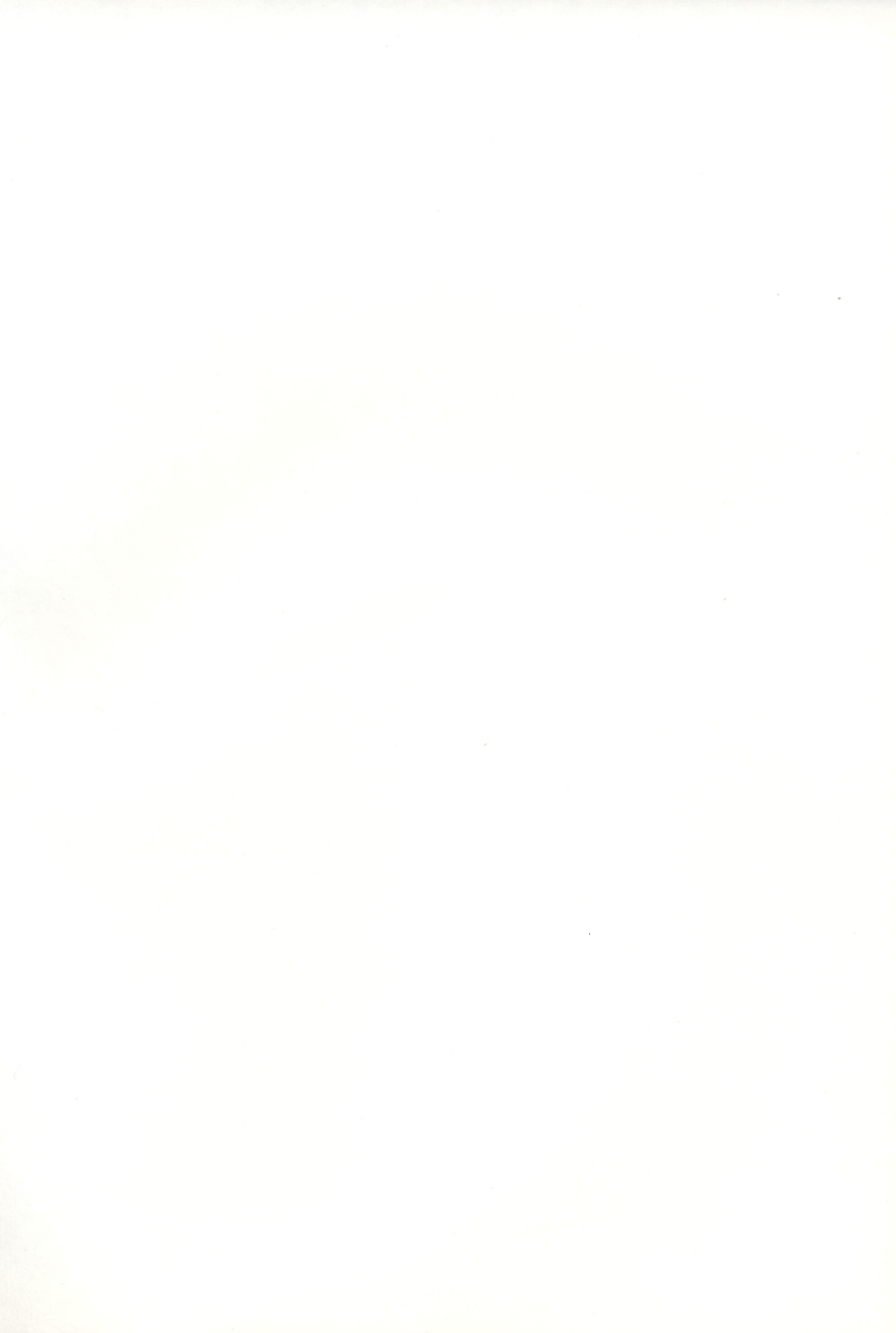 Blank.jpg