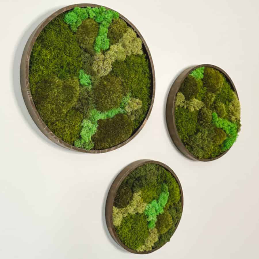 Make Beautiful DIY Moss Wall Art - Artsy Pretty Plants