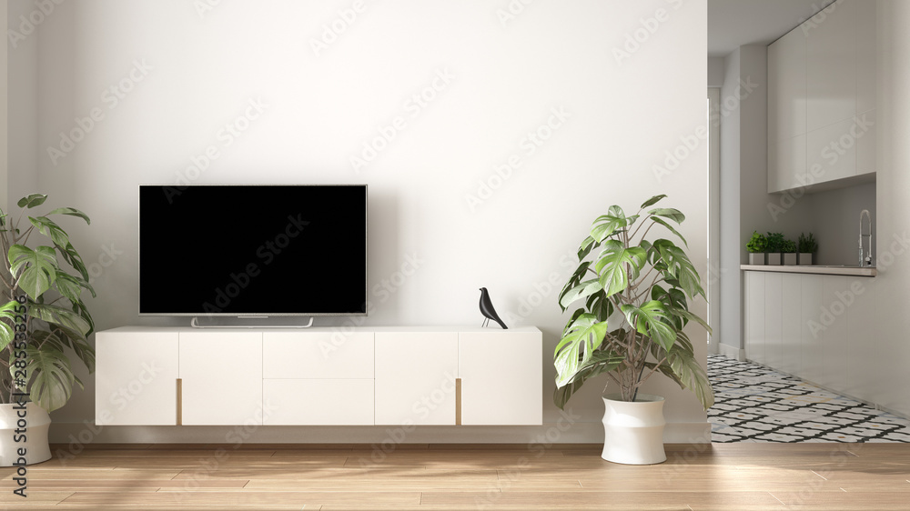 Minimalist Living Room Tv | Cabinets Matttroy