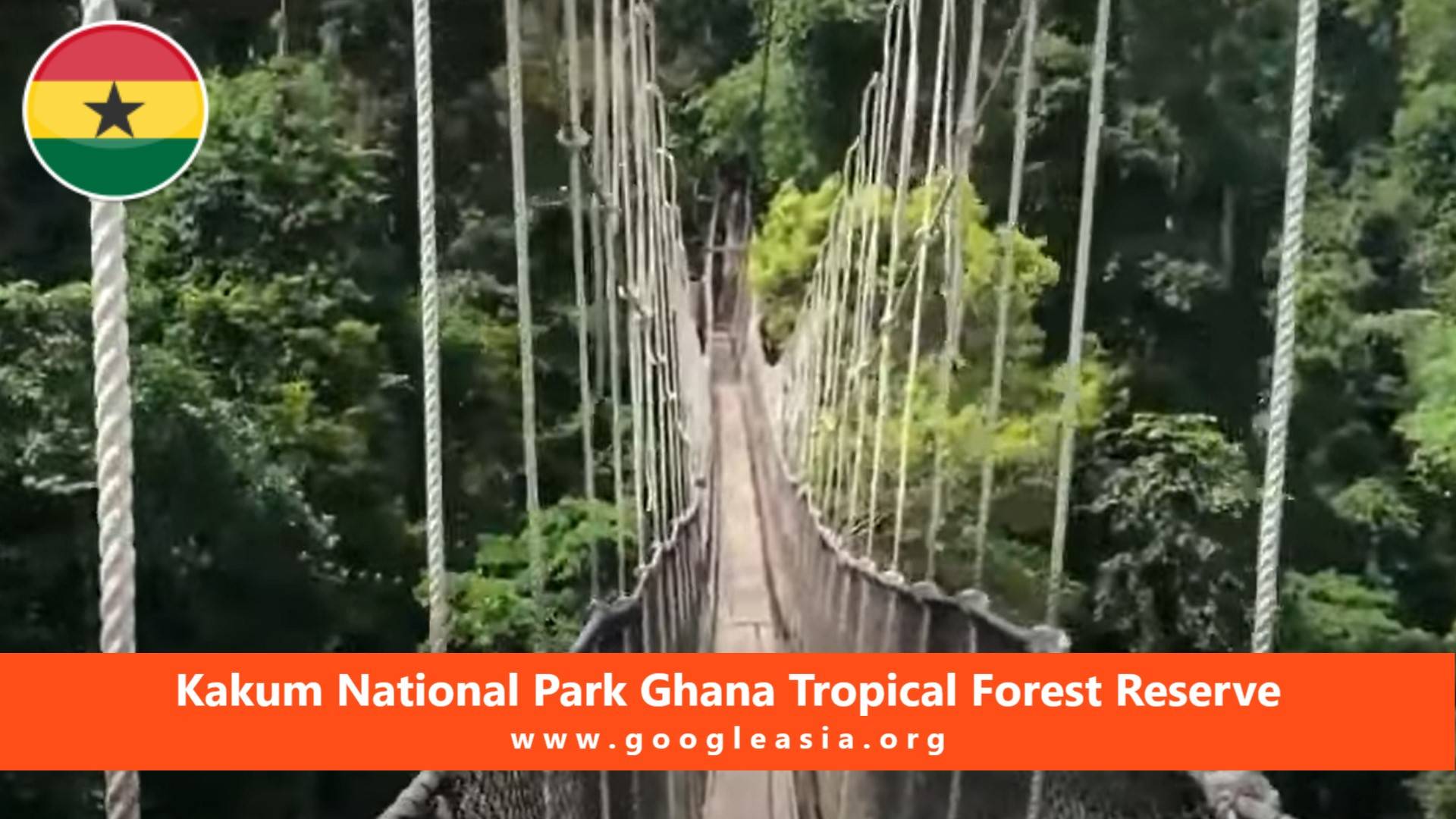 Kakum National Park: Best Destination To Visit In Ghana