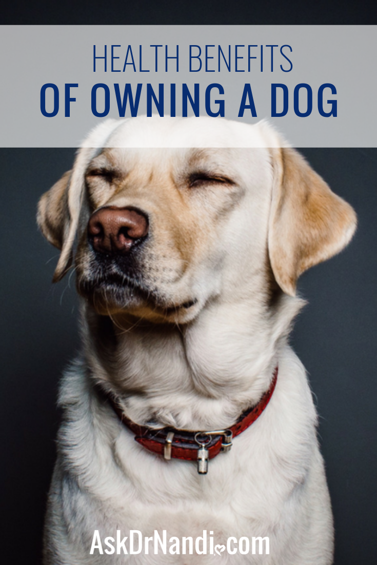 Health Benefits of Owning a Dog - Ask Dr Nandi