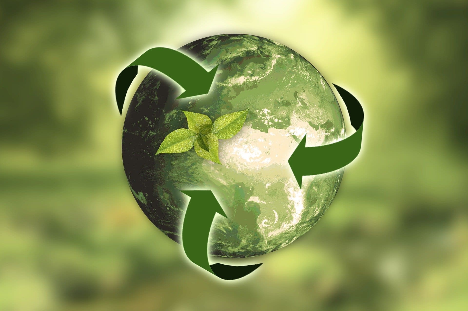 What Is The Importance Of Sustainable Practices - The Aspiring Gentleman