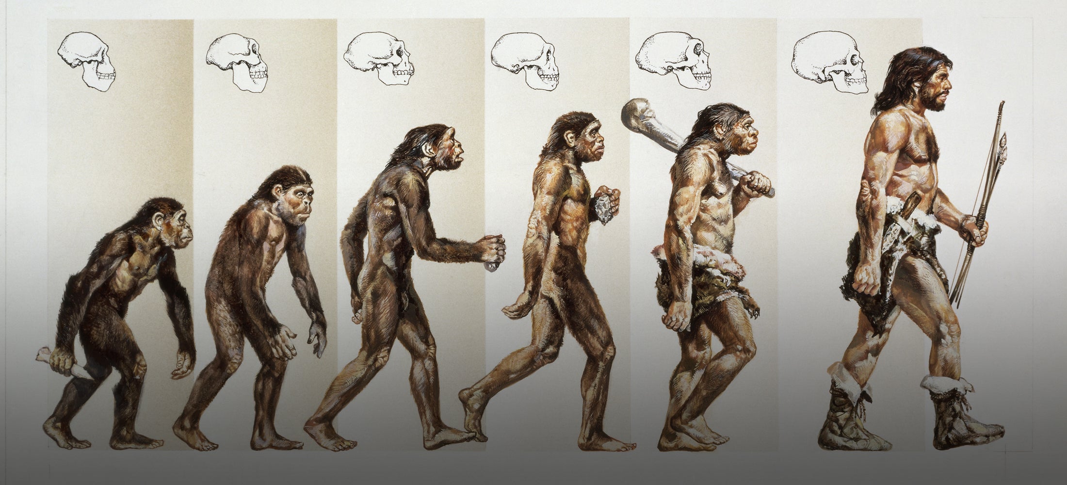 Do you believe in evolution? - The Technodrome Forums