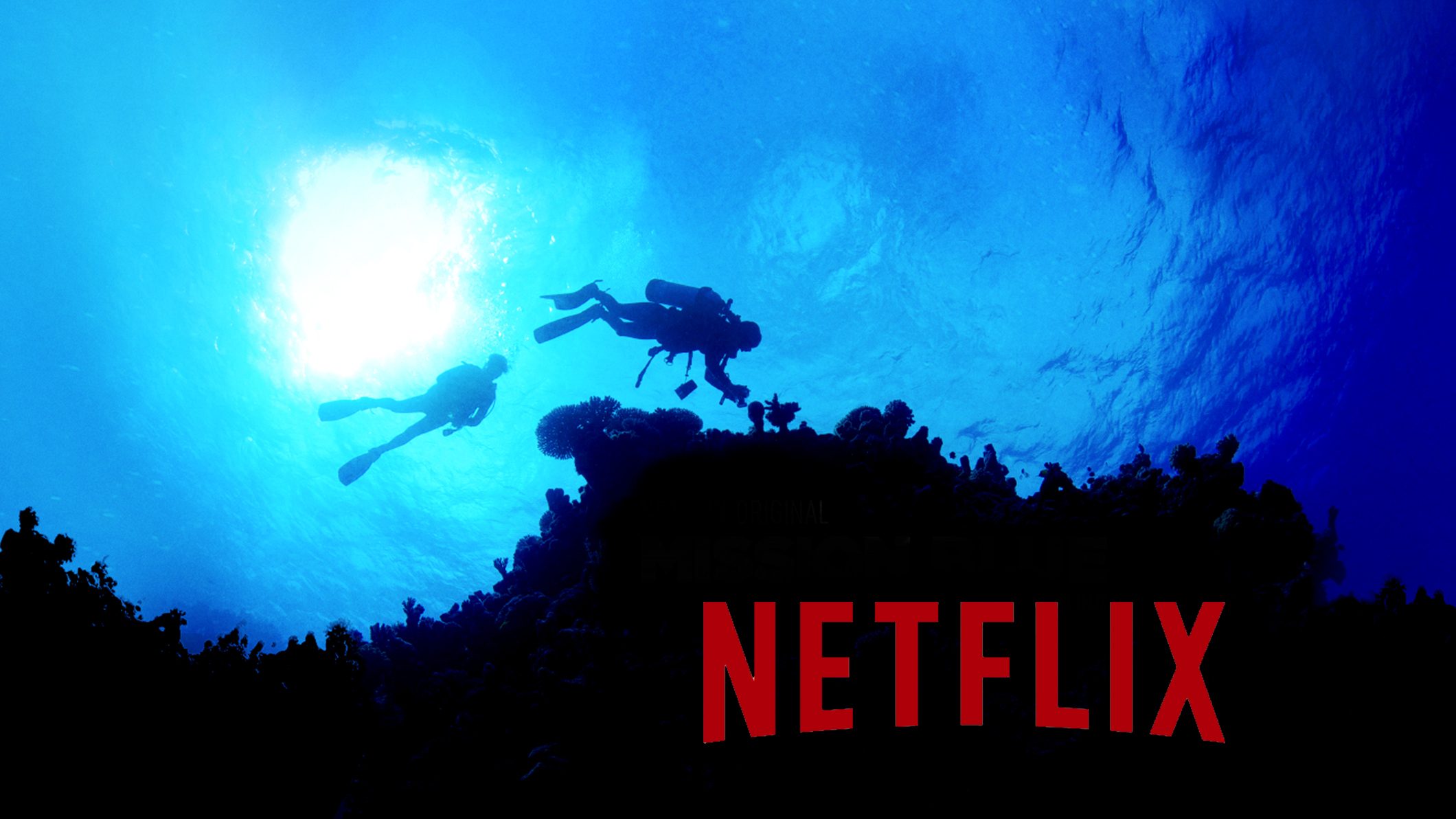 5 Of The Best Must-Watch Ocean Documentaries On Netflix