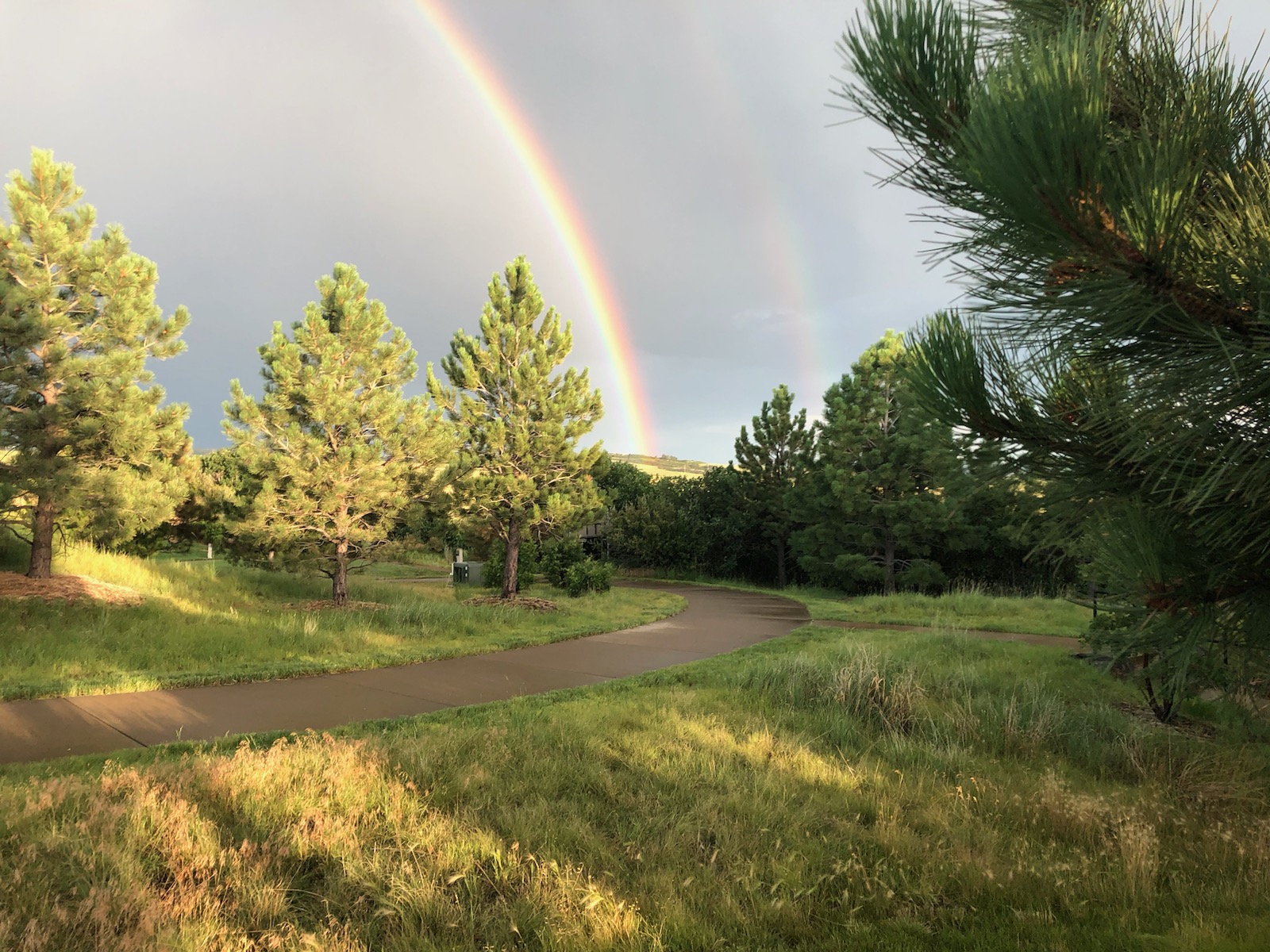 Gallery | Backcountry Association