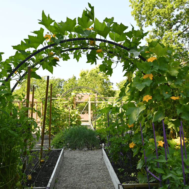 Featured Gardens: From Backyards to Community Spaces | Backyard Eats