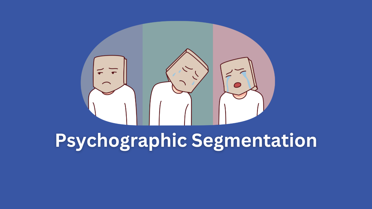 Psychographic Segmentation - Examples, Variables, & Pros/Cons