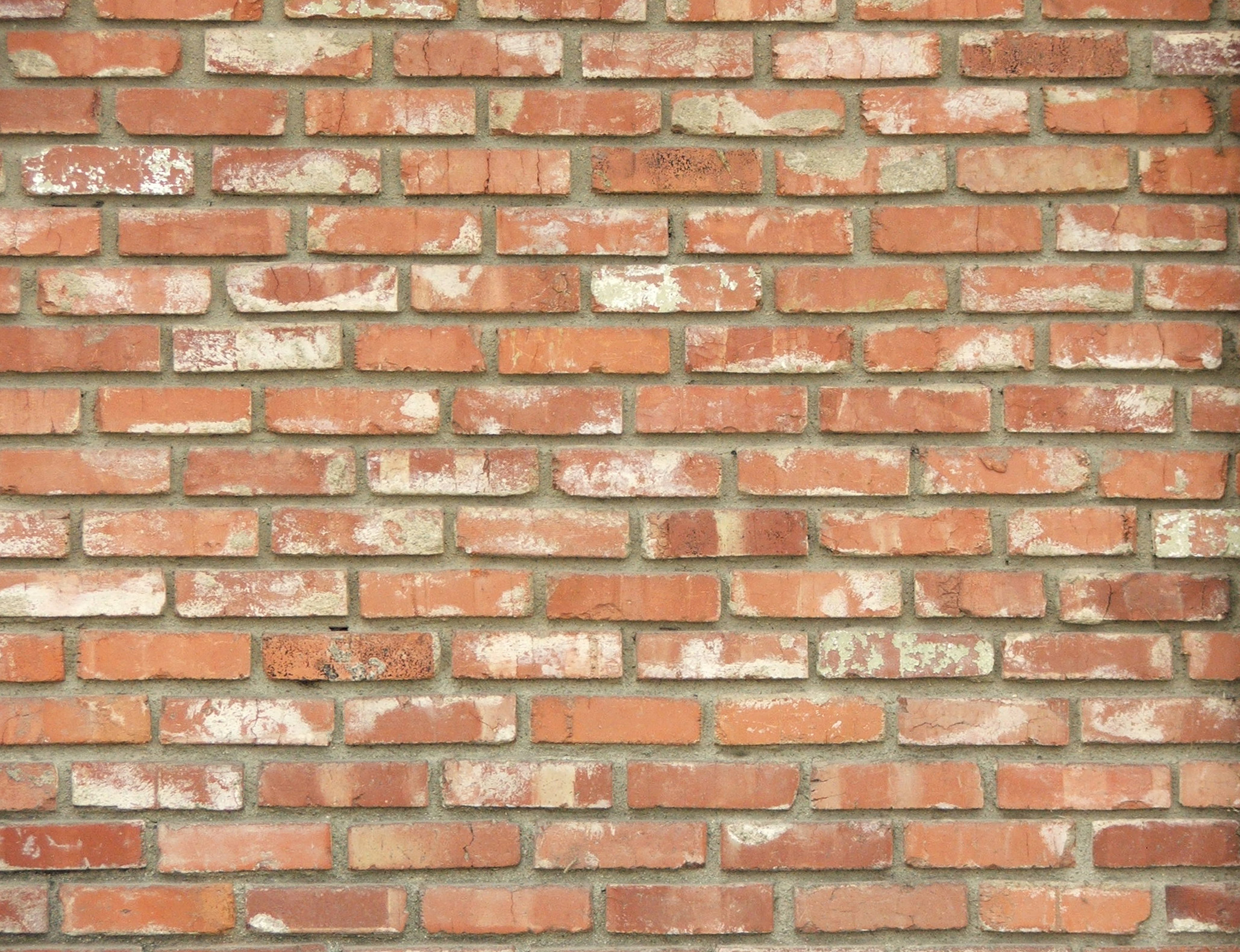 brick wall, brick wall, Texture brick wall, bricks, bricks texture